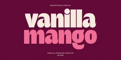 Bigmod Font Poster 10