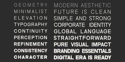 Nalte Sans Font Poster 7