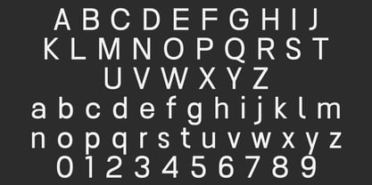 Nalte Sans Font Poster 9