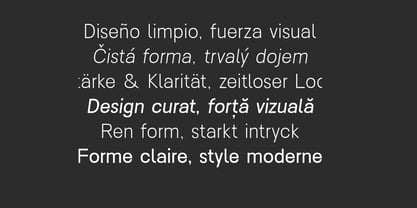 Nalte Sans Font Poster 11