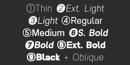 Nalte Sans Font Poster 4