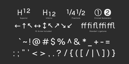 Nalte Sans Font Poster 10