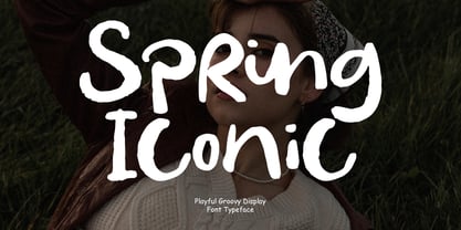 Bunny Carroty Font Poster 11