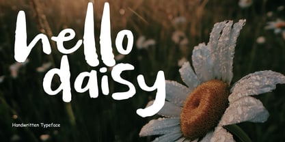 Bunny Carroty Font Poster 14