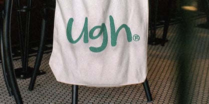 Bunny Carroty Font Poster 8