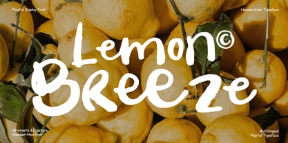 Bunny Carroty Font Poster 7