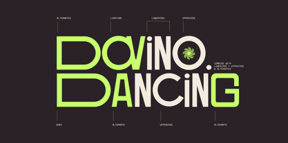 Fd Foun Font Poster 8