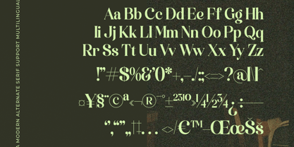 Funky Nights Vintage Font Poster 14