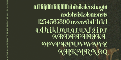 Funky Nights Vintage Font Poster 15