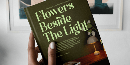 Funky Nights Vintage Font Poster 13