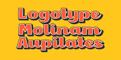 Hindira Font Poster 8