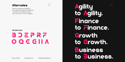 Morna Bold Font Poster 8