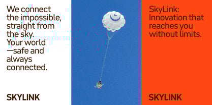 WTF Forma Font Poster 7