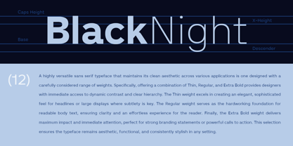 Madion Font Poster 5