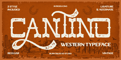 Cantino Font Poster 1