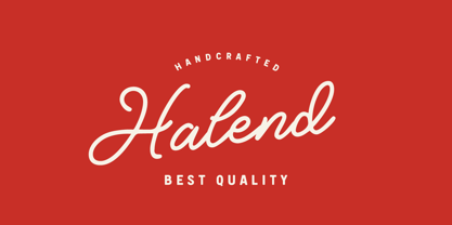 Brings Vintage Font Poster 2