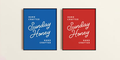Brings Vintage Font Poster 5