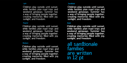 Sanstionale Font Poster 3