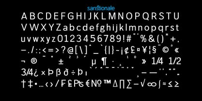 Sanstionale Font Poster 10