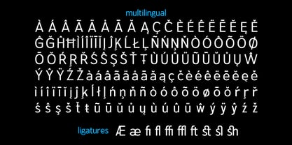 Sanstionale Font Poster 11