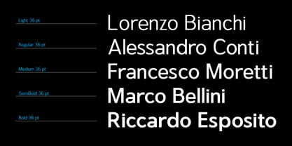 Sanstionale Font Poster 2