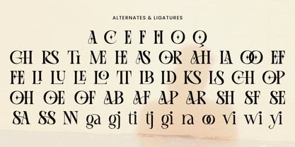 Rook Castle Font Poster 12