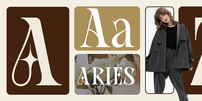 Rook Castle Font Poster 5