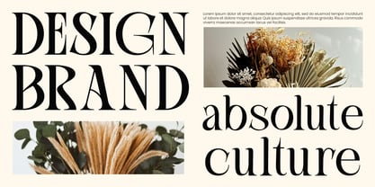 Rook Castle Font Poster 2