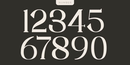 Samthing Font Poster 8