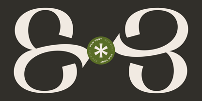 Samthing Font Poster 4