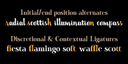 Jam Session Font Poster 14