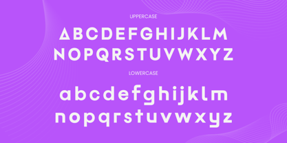 Malking Font Poster 9