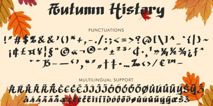 Autumn History Font Poster 6