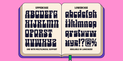 Burgos Font Poster 8