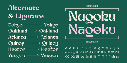 Nagoku Font Poster 10
