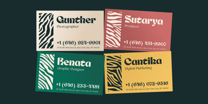 Nagoku Font Poster 5