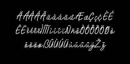 SandwichParadise Font Poster 7