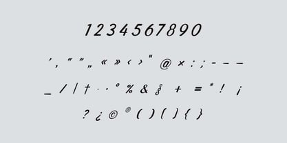 VintageRegal Font Poster 8