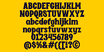 Dirty Novel Font Poster 8