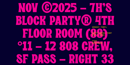 Dirty Novel Font Poster 2