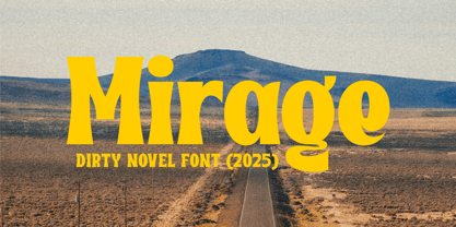 Dirty Novel Font Poster 3