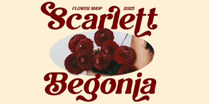 Belyora Font Poster 10