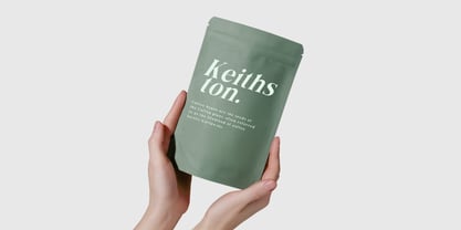 Fox Deliora Font Poster 6