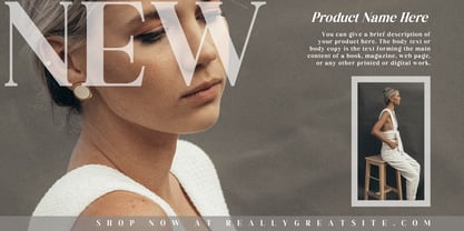 Fox Deliora Font Poster 2