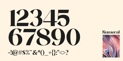 Roxaine Serif Font Poster 4
