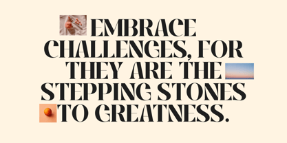 Roxaine Serif Font Poster 5