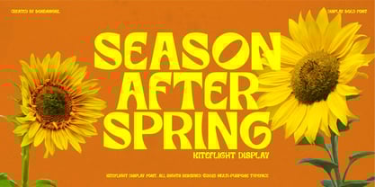 Kiteflight Font Poster 1