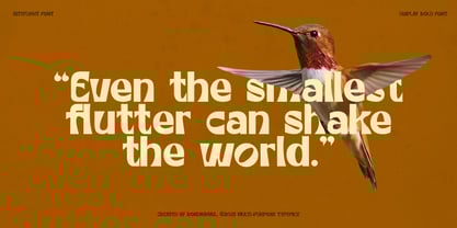 Kiteflight Font Poster 7