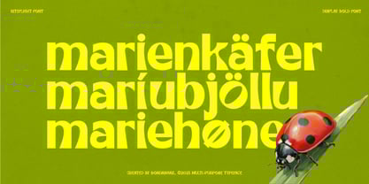 Kiteflight Font Poster 6