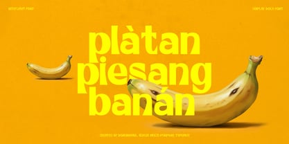 Kiteflight Font Poster 5